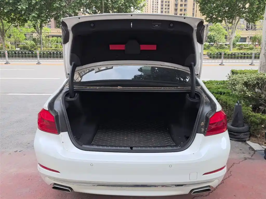 BMW 5 Series 2020 525Li Luxury Package фото 19