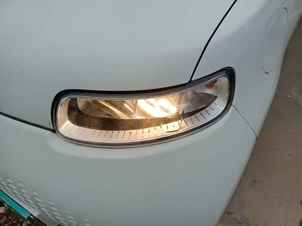 Ora White Cat 2021 2020 360km Standard Model