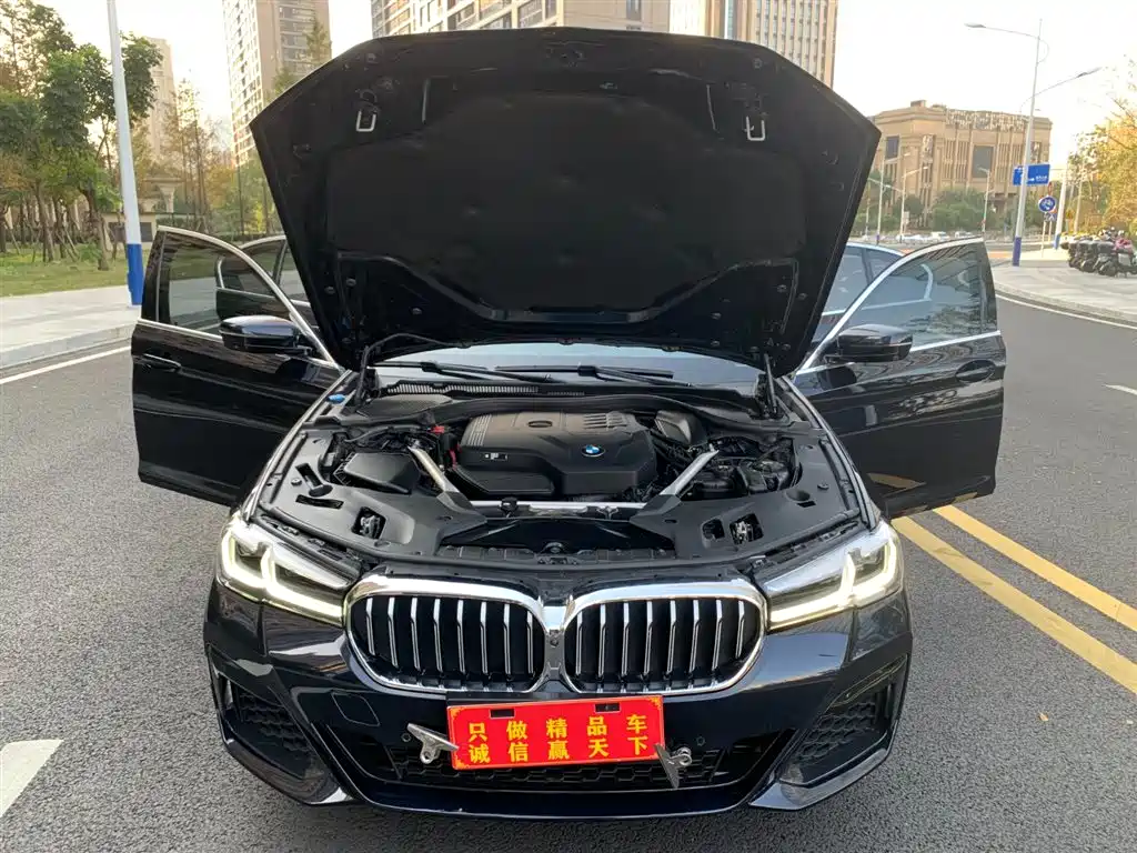 BMW 5 Series 2022 Facelift II 530Li Premium Package M Sport фото 9