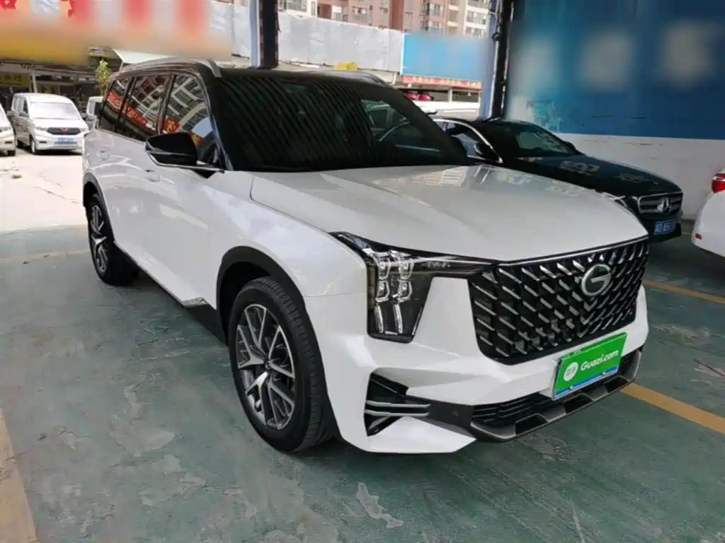 GAC Trumpchi Trumpchi GS8 2025 Pilot Series 2.0TGDI 2WD Luxury Edition 5-seater фото 4