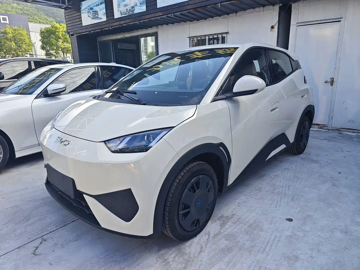 BYD Seagull 2025 Smart Drive Edition 305km Vitality Version