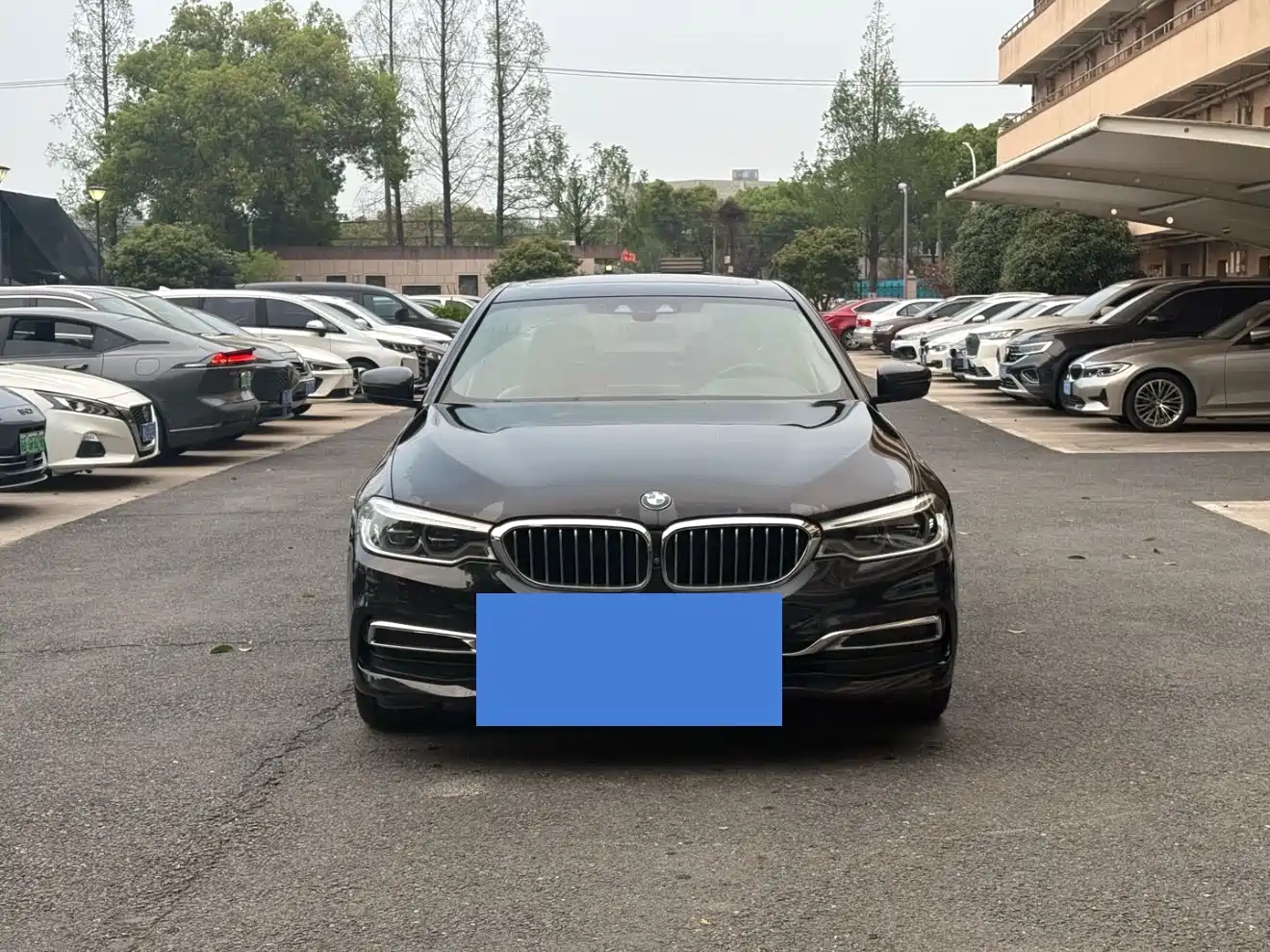 BMW 5 Series New Energy 2020 530Le Range Upgrade Luxury Package фото 2