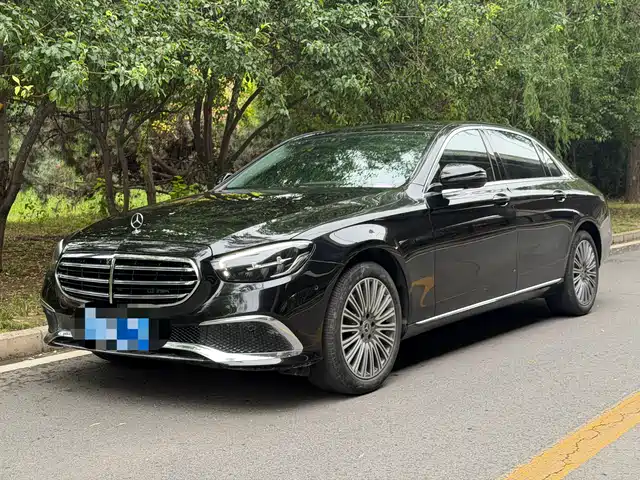 Mercedes-Benz E E 300 L, Люкс