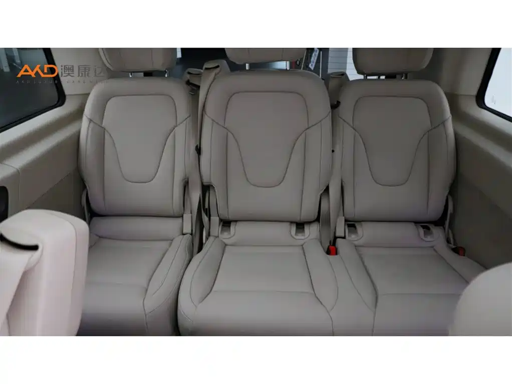 Mercedes-Benz V-Class 2025 2024 V 300 L Long Wheelbase Luxury Edition