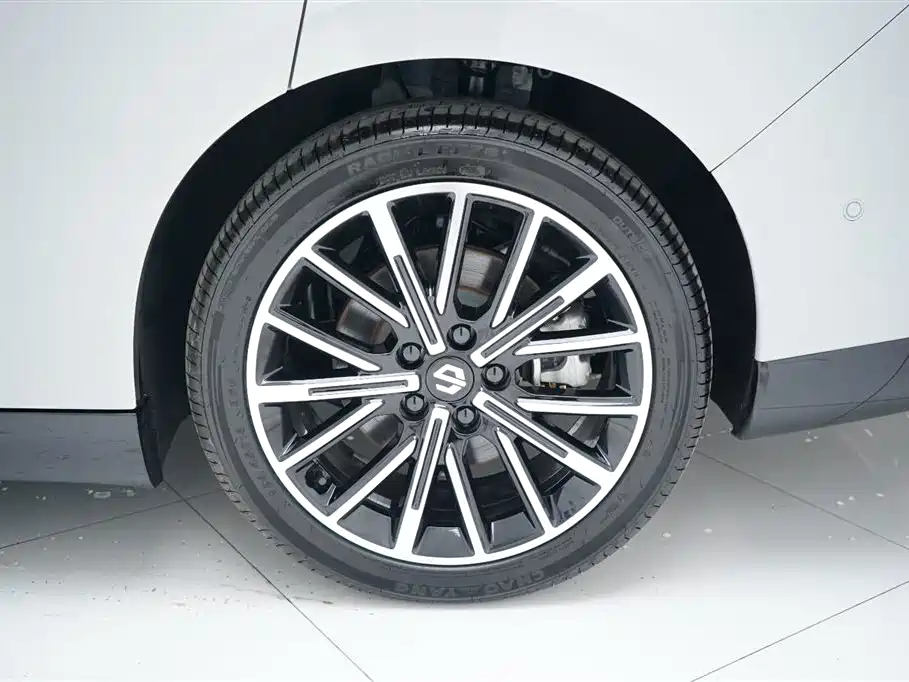 Leapmotor B01 2026 2026 Model 550 Joy Edition