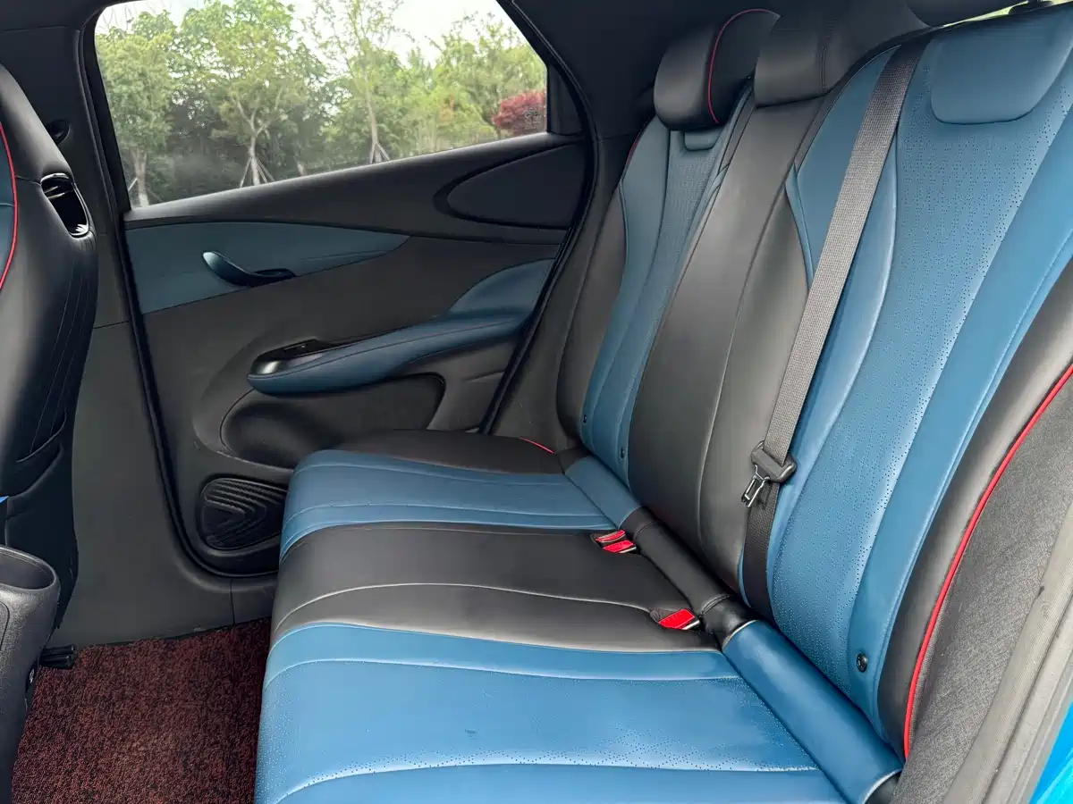 BYD Dolphin 2021 401km Knight Edition фото 15