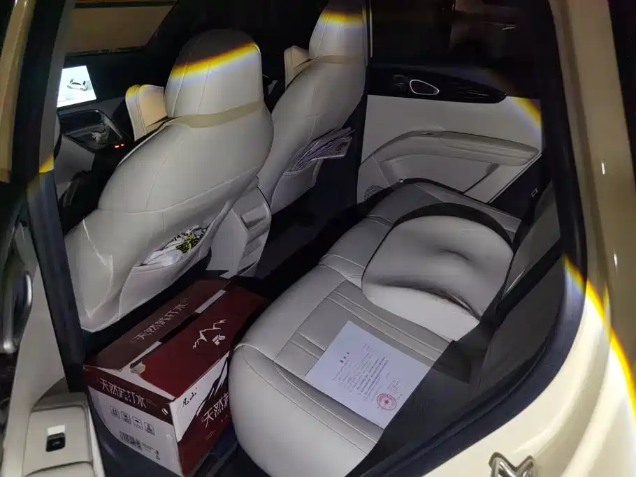 Geely Galaxy Starry Wish 2025 2025 310km Youth Edition