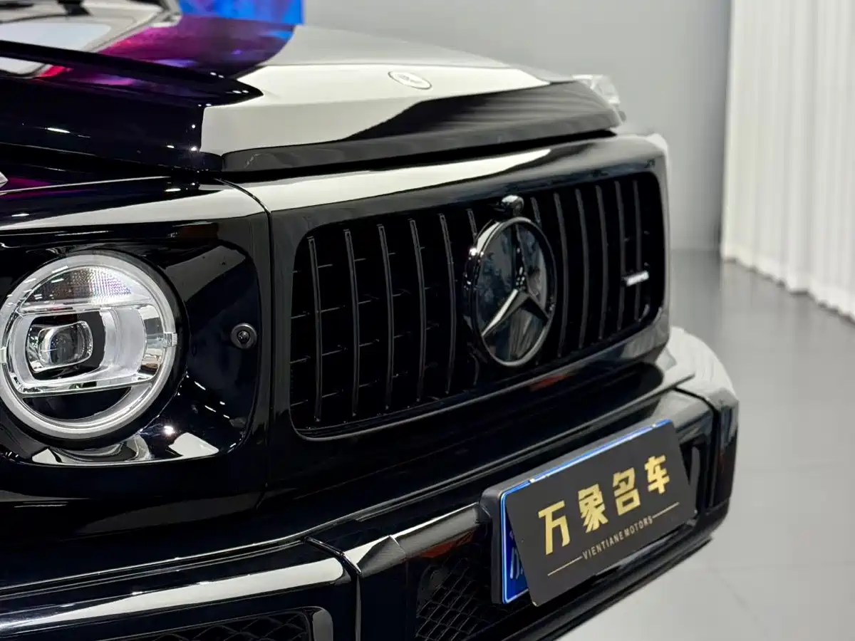 Mercedes-Benz G-Class 2023 G 350 фото 10