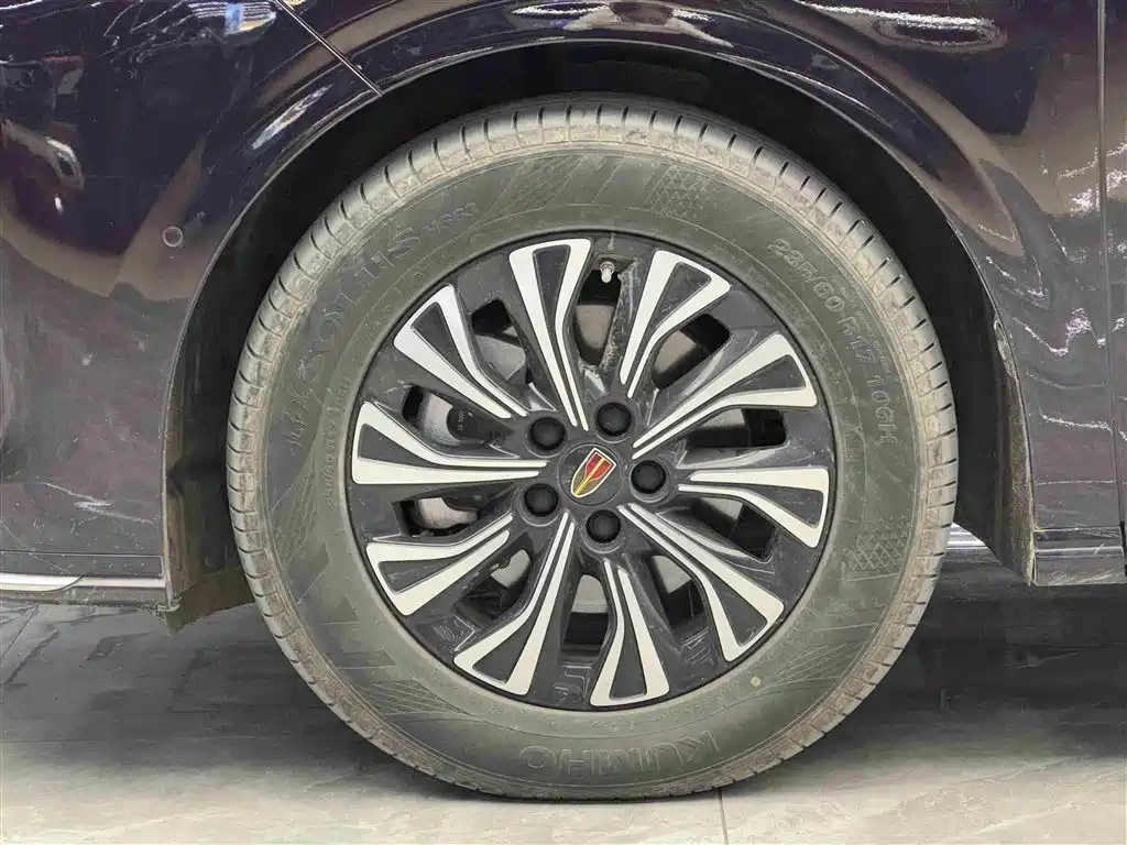 Hongqi HQ9 PHEV 2024 Model 2.0T AWD Luxury Edition фото 4