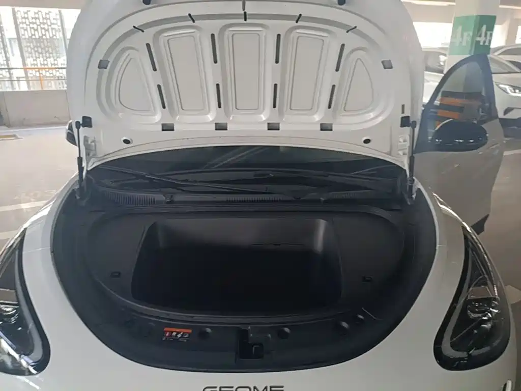 Geely Galaxy Starry Wish 2026 2026 Edition 410km Freedom Version