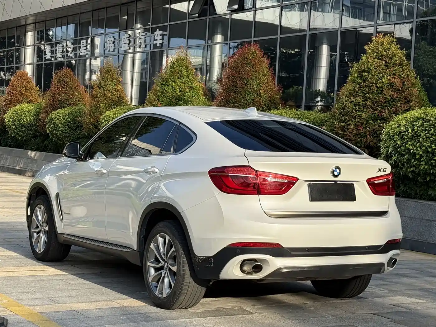 BMW X6 2015 xDrive35i Leading Type фото 14