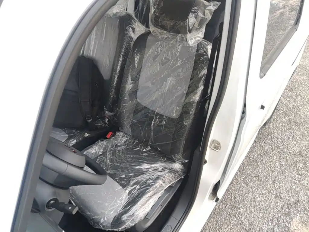 Wuling Motors Wuling Zhiguang NEV 2026 2025 Model 305km Base Version