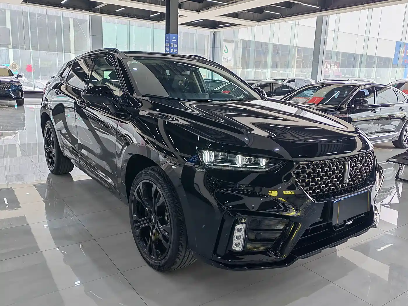 WEI PAI WEI BRAND VV7