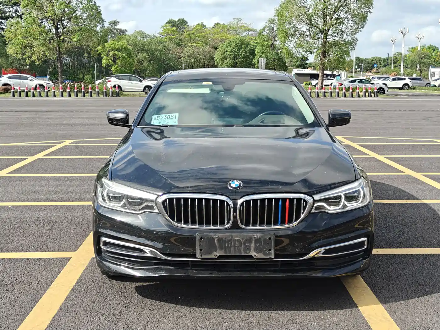 BMW 5 Series 2020 530Li Premium Luxury Package фото 2