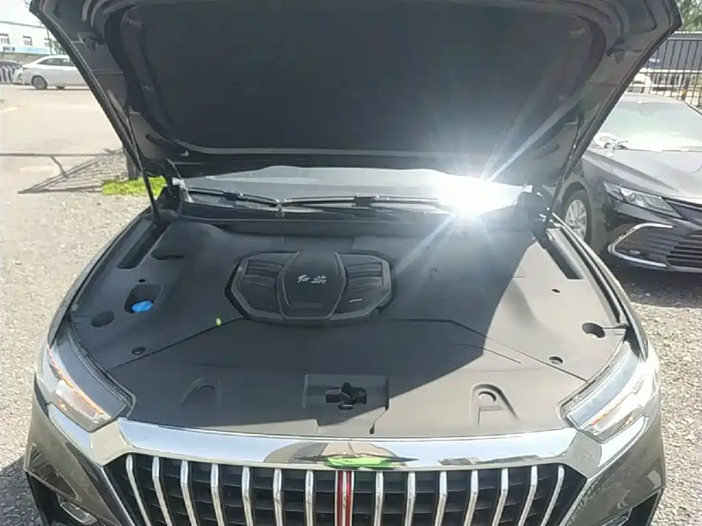 Hongqi HS5 2019 2.0T Smart Connect Enjoy Edition фото 20