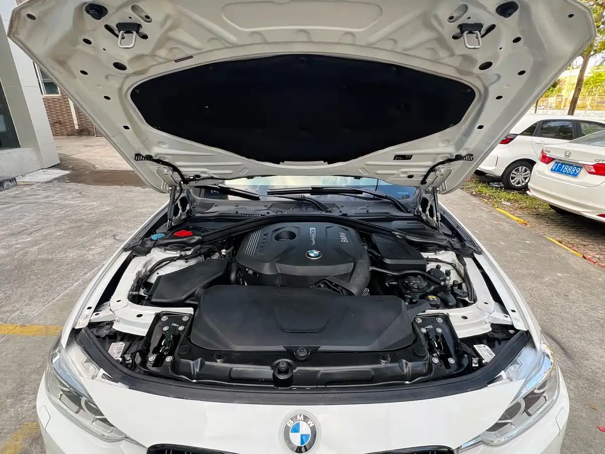 BMW 3 Series (Import) 2016 320i Fashion Wagon фото 11