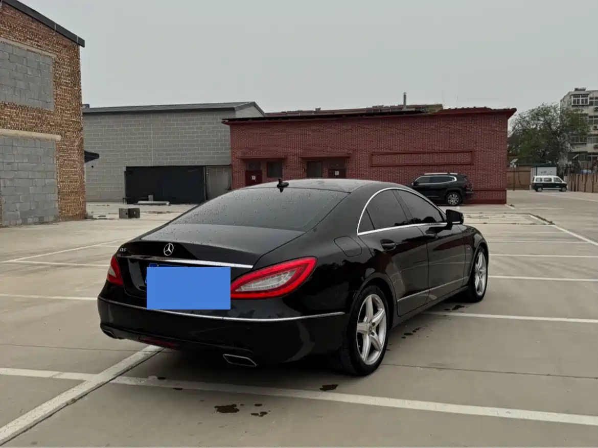 Mercedes-Benz CLS 2012 CLS 300 CGI фото 4