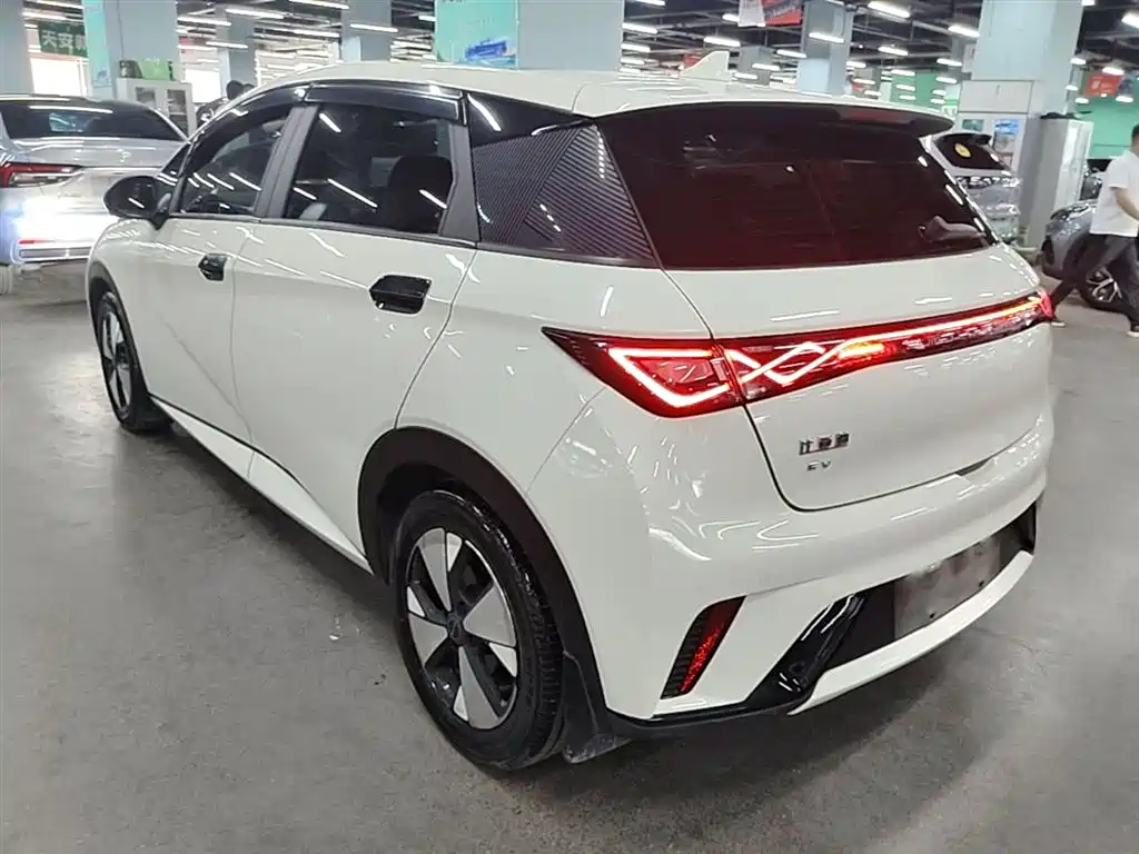 BYD Dolphin 2023 420km Fashion Edition фото 5