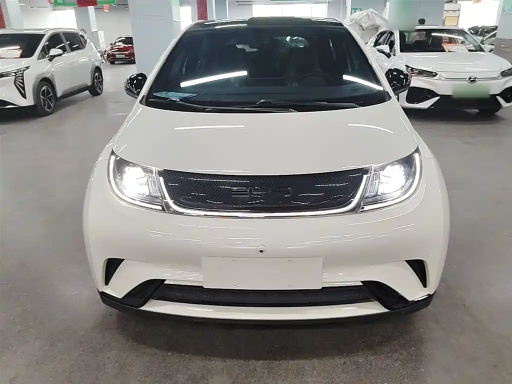 BYD Dolphin 2023 420km Fashion Edition фото 3