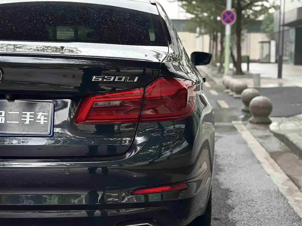 BMW 5 Series 2018 528Li Launch Special Edition фото 8