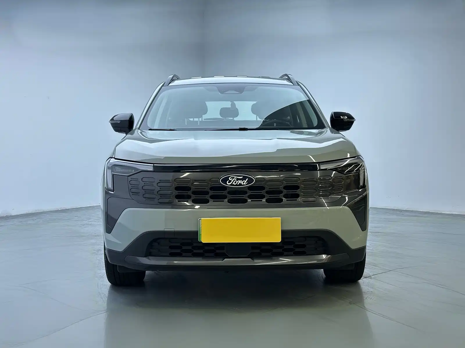 Фото 2 - Ford Lingrui