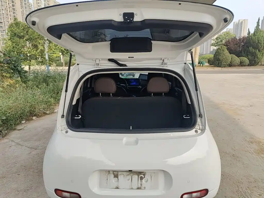 Ora White Cat 2020 2020 360km Luxury Model