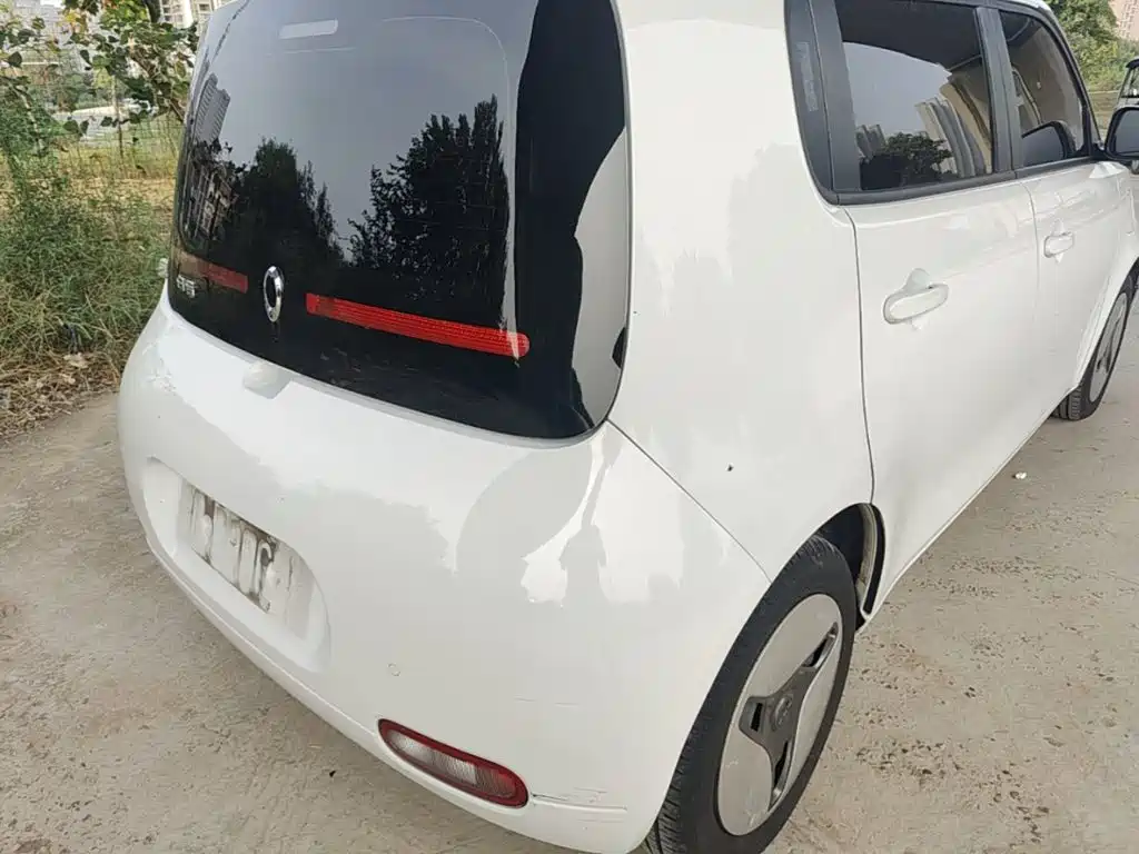 Ora White Cat 2020 2020 360km Luxury Model
