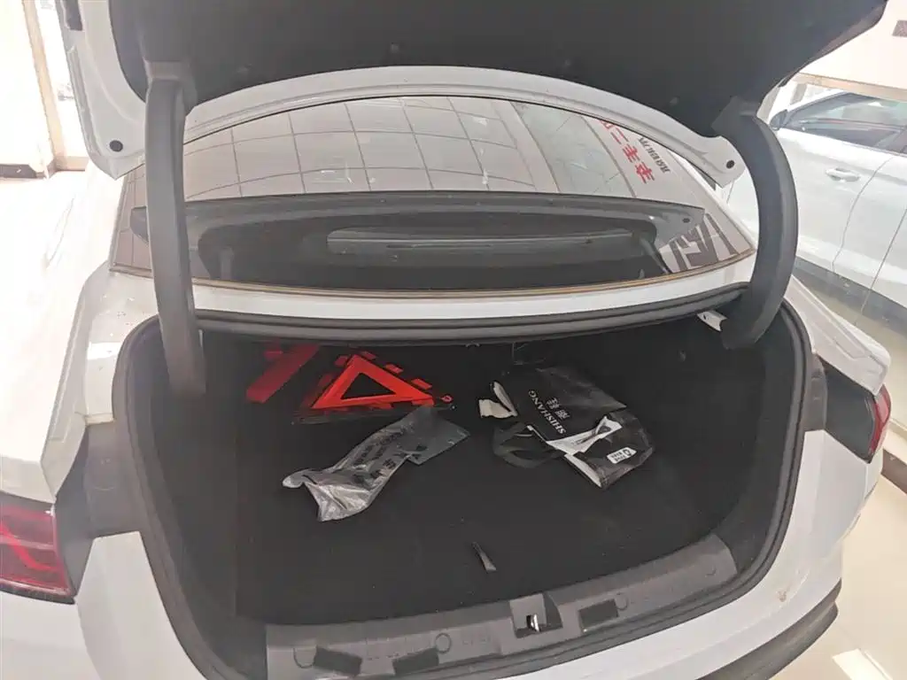 BYD Qin L 2024 DM-i 80KM Leading Edition фото 19