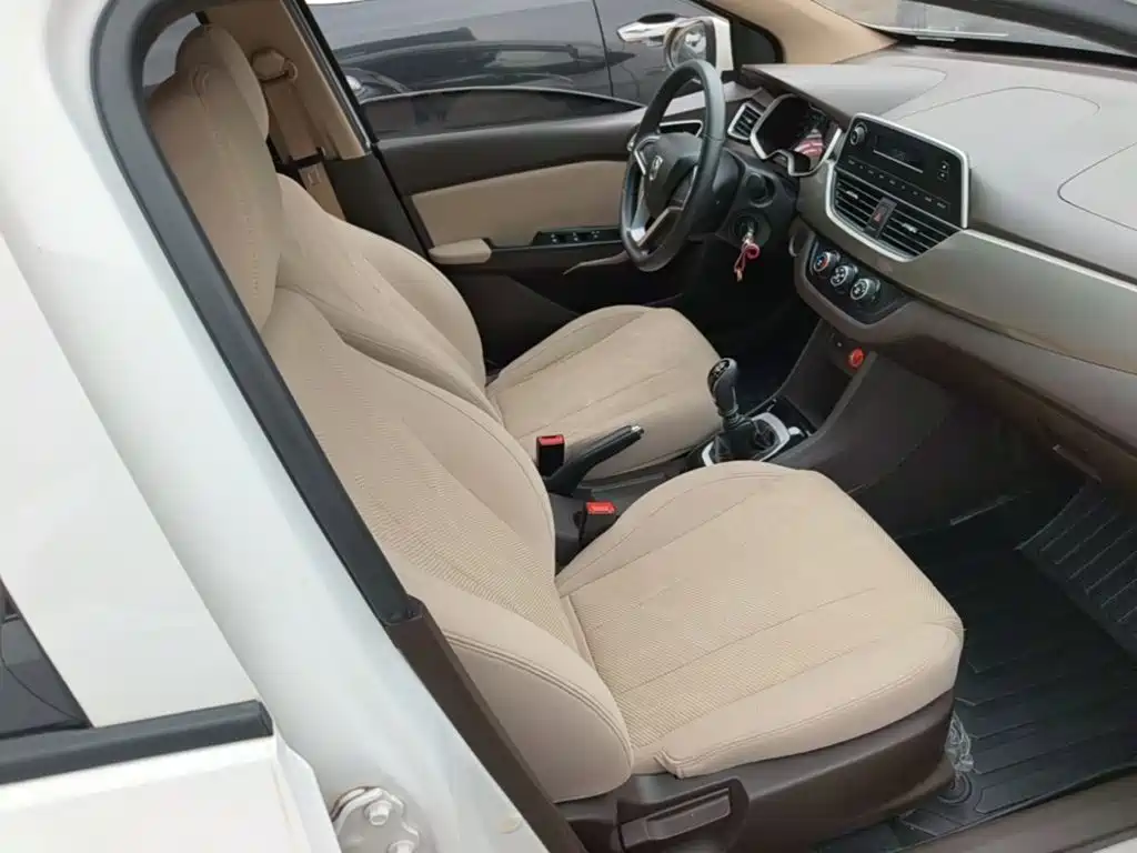 Фото 25 - Baojun 310W