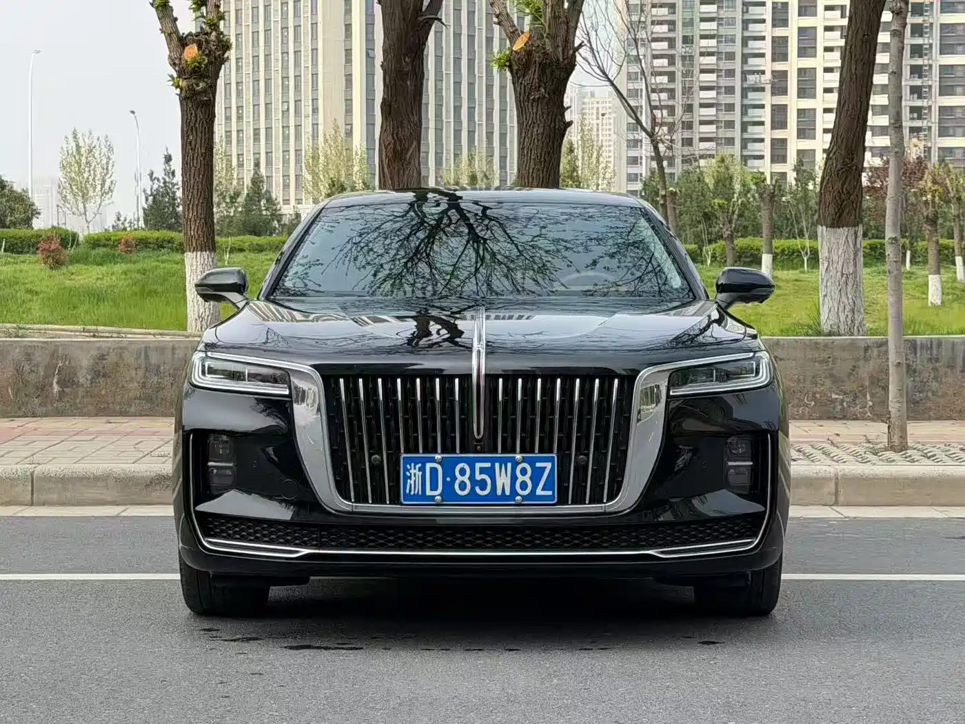 Hongqi HONGQI H9
