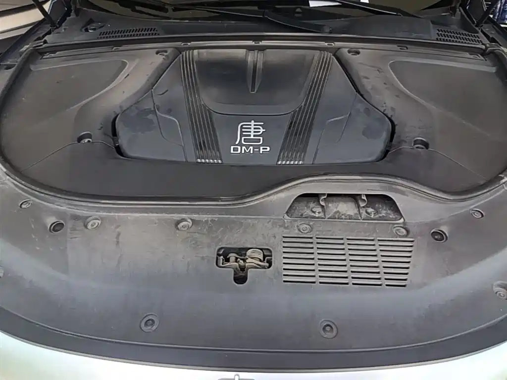 BYD Tang New Energy 2022 DM-p 215KM AWD Flagship фото 20