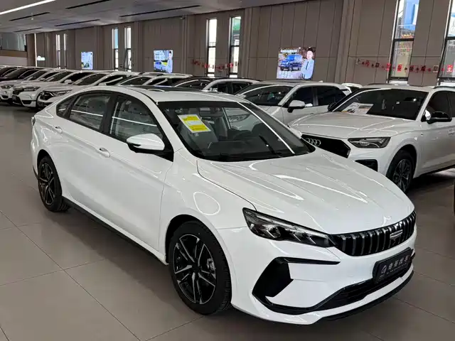 GEELY AUTOMOBILE BINRUI