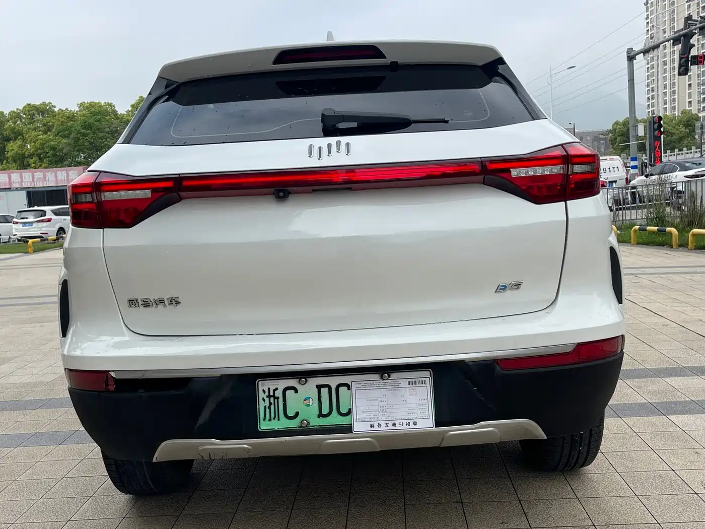 WEIMA AUTOMOBILE WEIMA EX5