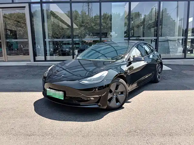 Tesla Model 3 Задний привод