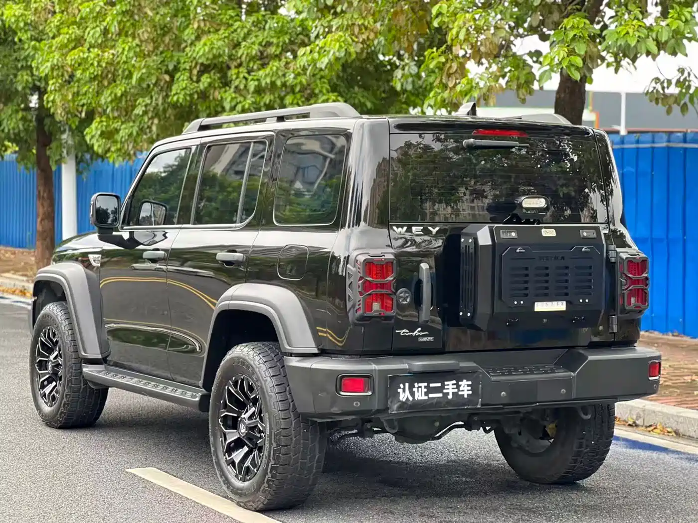 Tank 300 2021 2021 Off-road Version 2.0T Conqueror