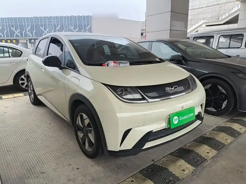 BYD Dolphin 2026 2025 420km Freedom Edition