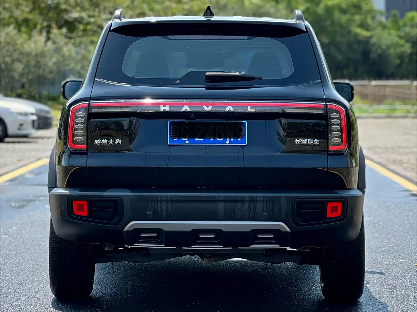 HAVAL BIG DOG
