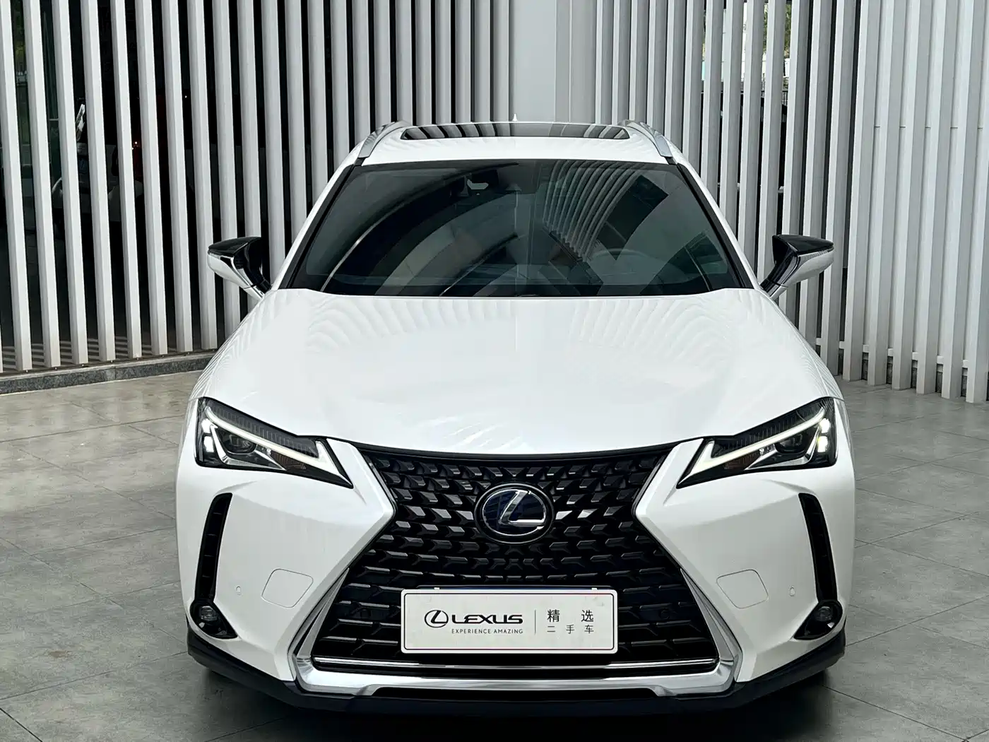Lexus UX 2021 2020 260h Explore Fun Edition China V