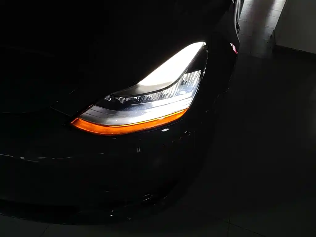 Tesla Model 3 2020 2019 Standard Range Rear-Wheel Drive Upgrade