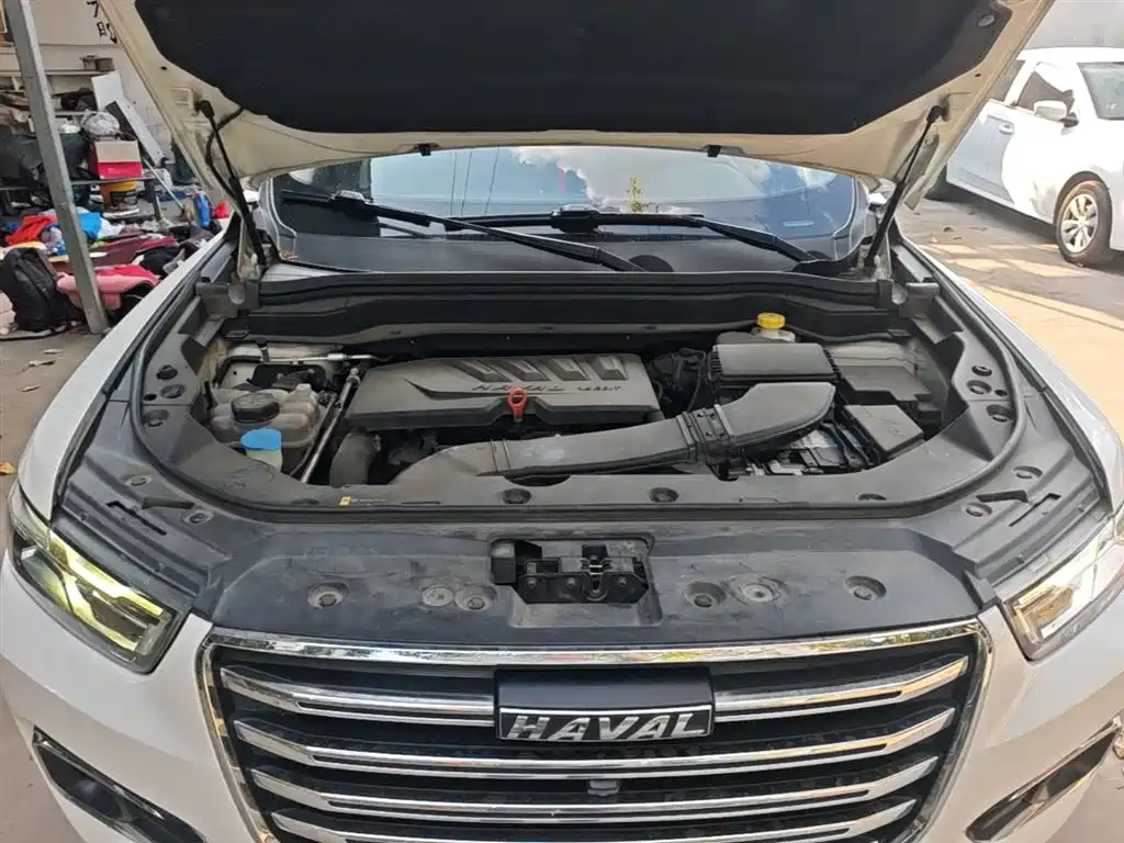 Haval H6 2020 1.5GDIT Automatic Platinum Champion Edition фото 20