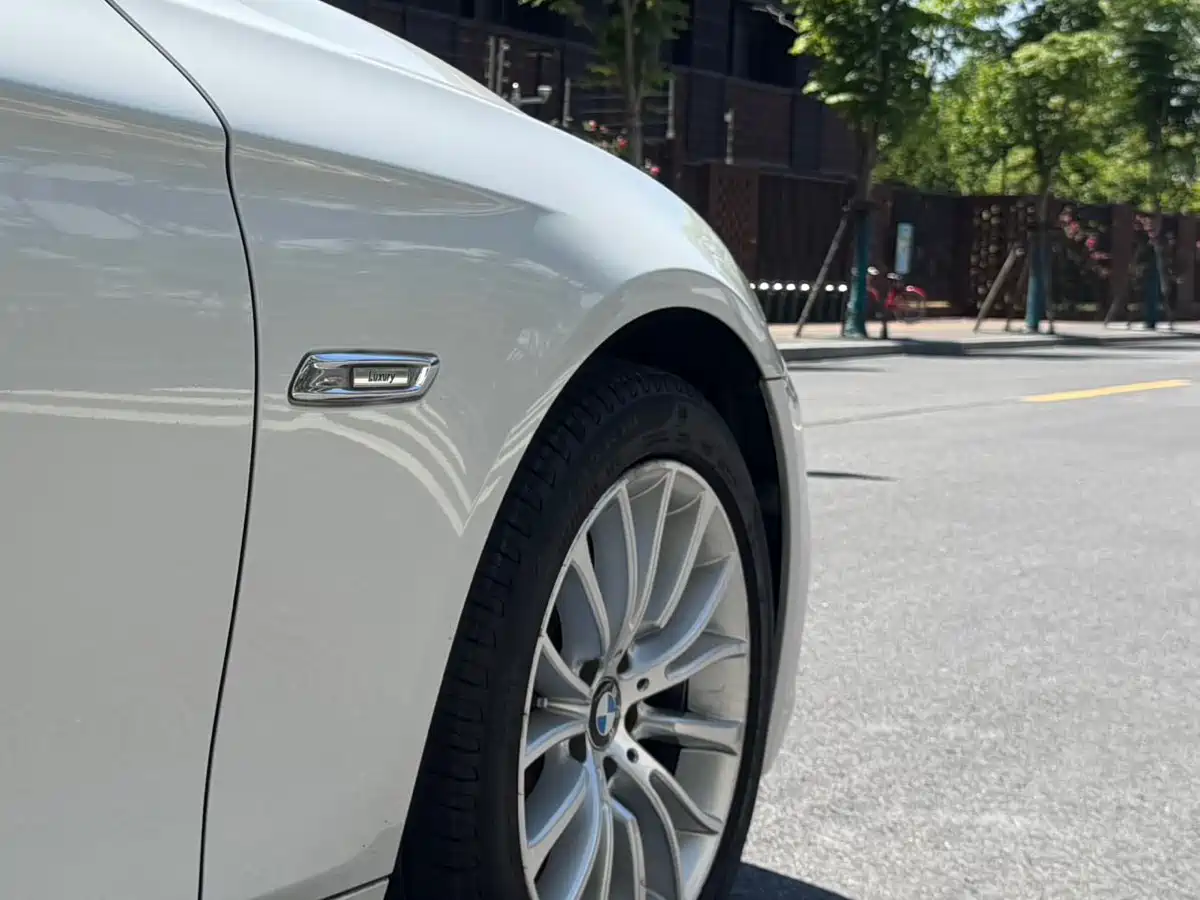 BMW 5 Series 2014 525Li Luxury Design Package фото 13