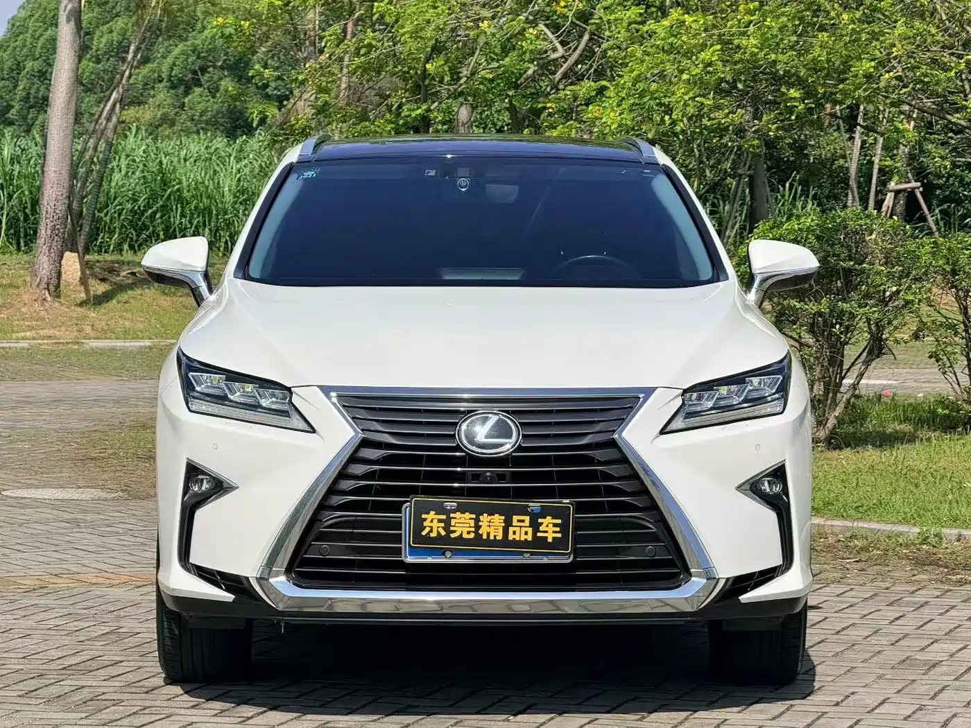 Lexus RX 2016 300 4WD Elegance Edition (China V) фото 2