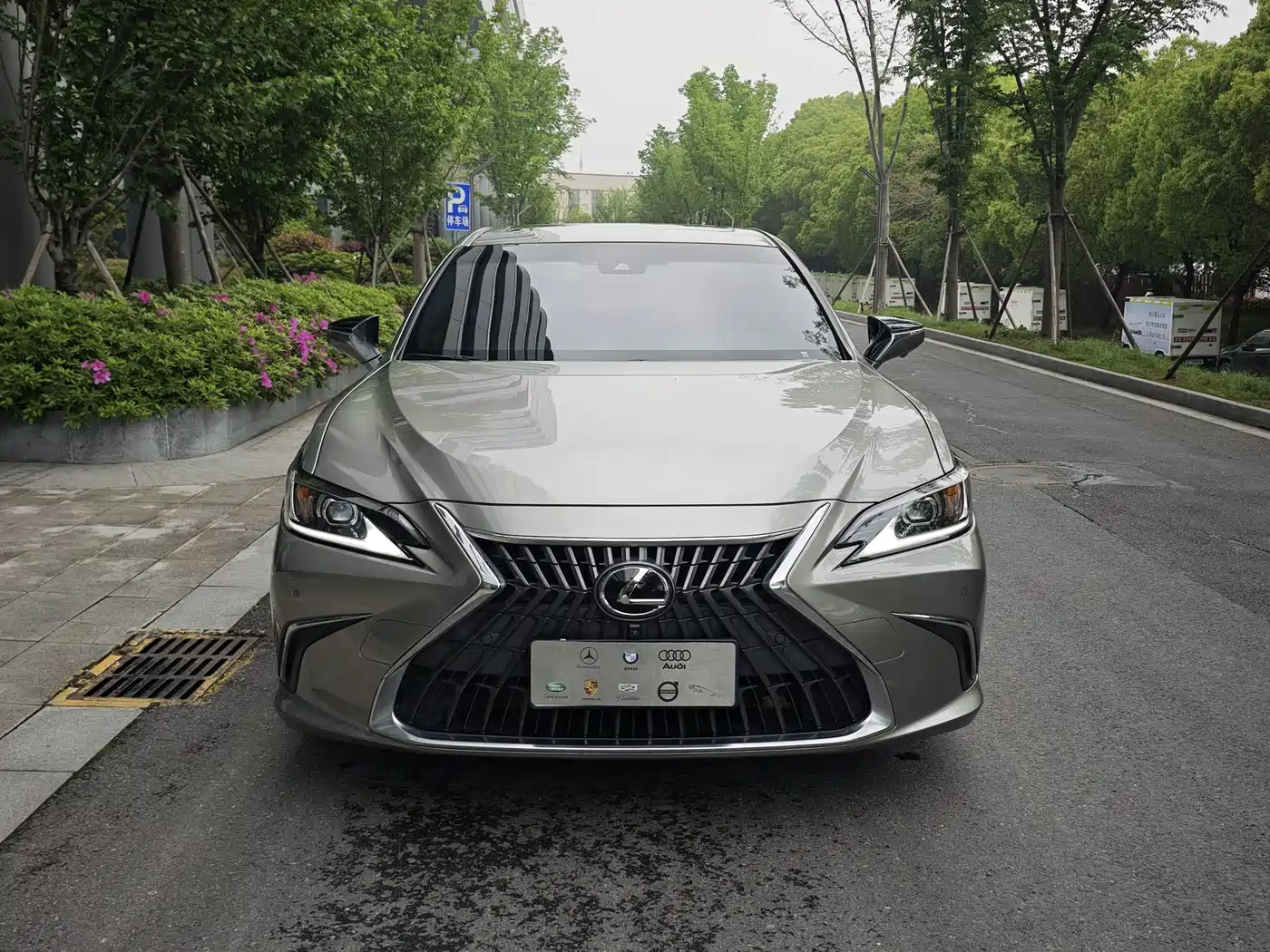 Lexus ES 2024 200 Premium Edition фото 3