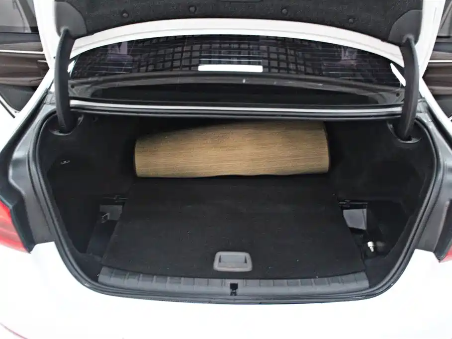 BMW 5 SERIES NEW ENERGY