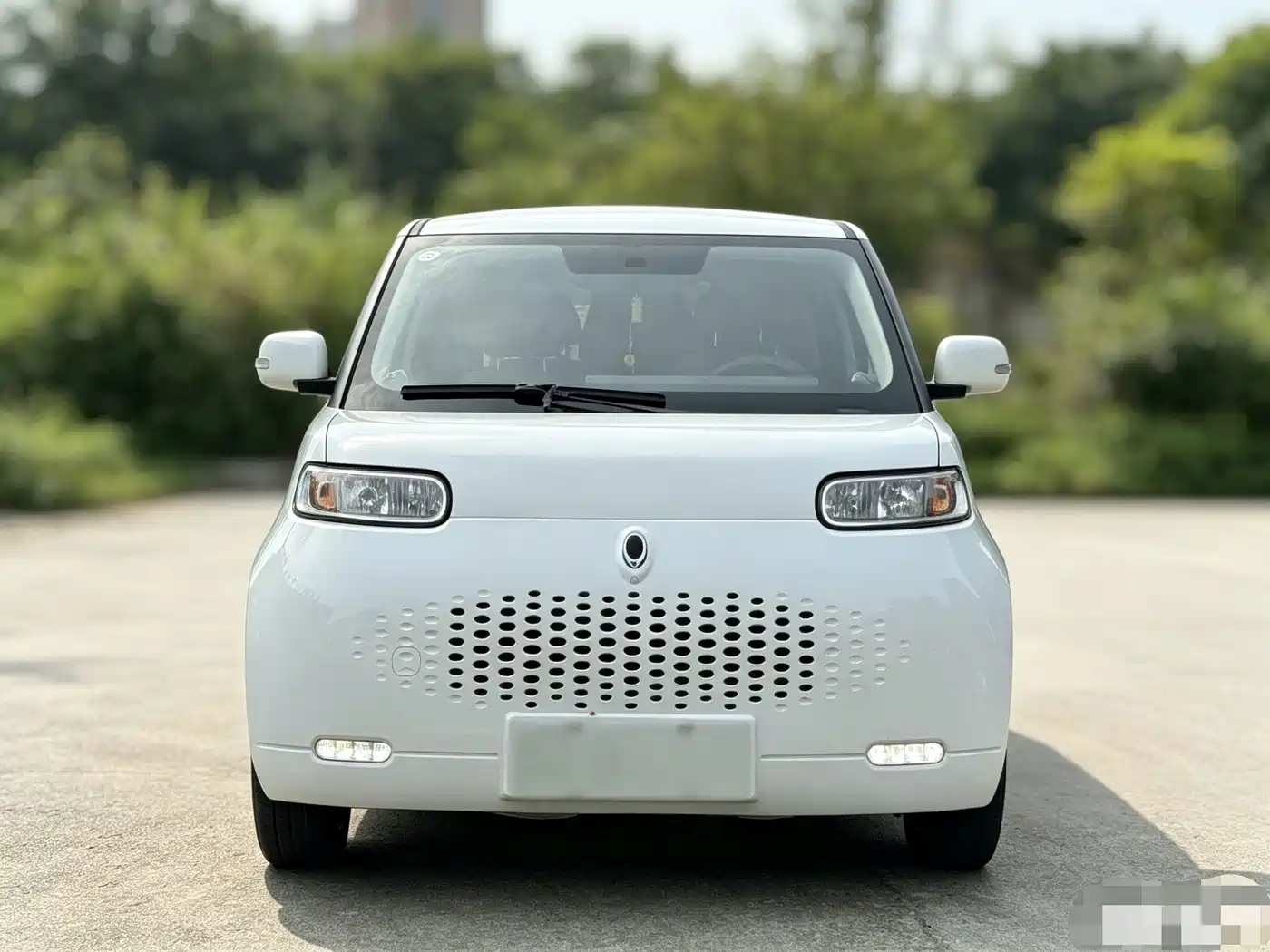 Ora White Cat 2021 2020 360km Luxury Model