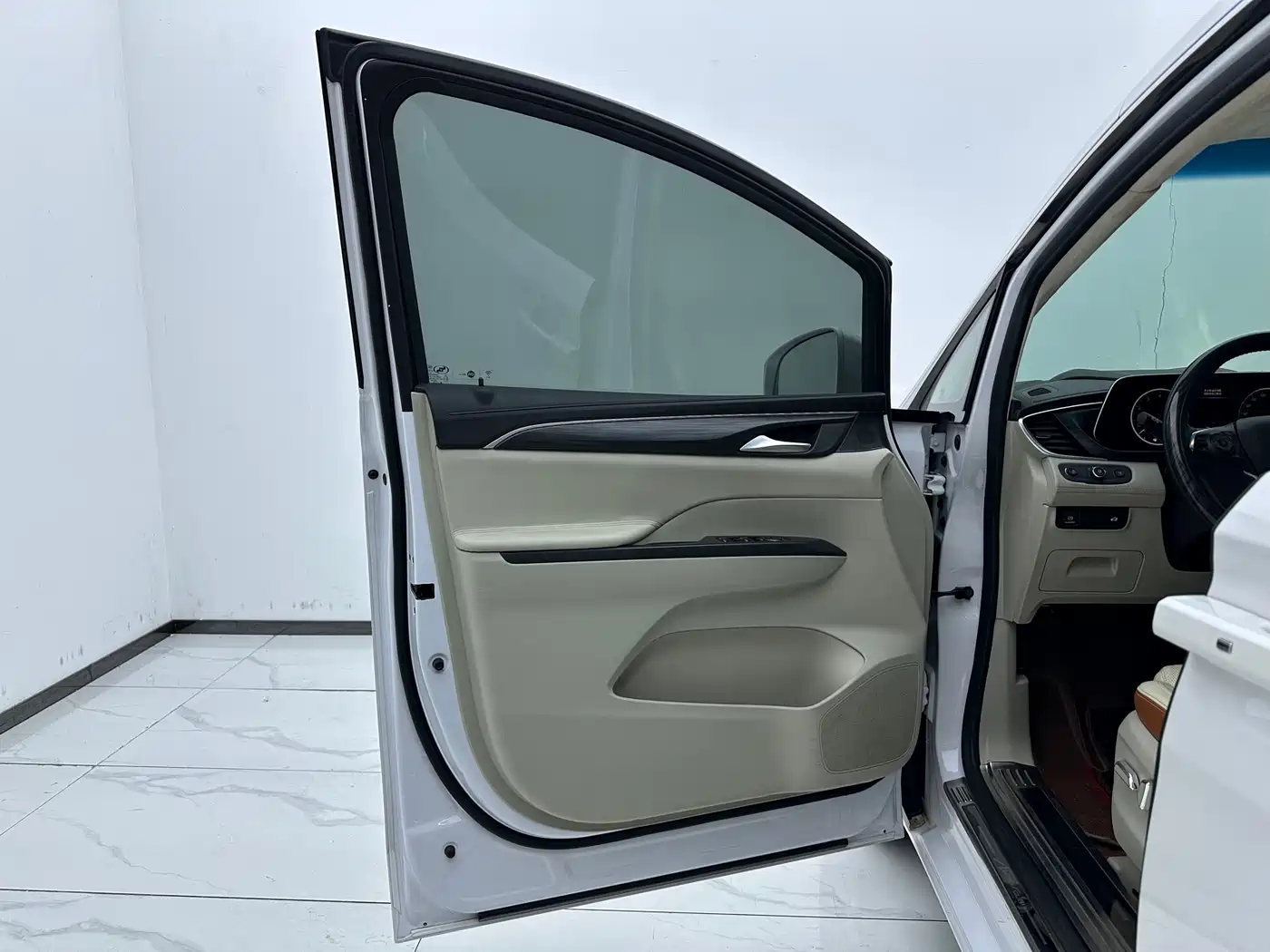Buick GL8 2022 ES Landmark 653T Comfort фото 8