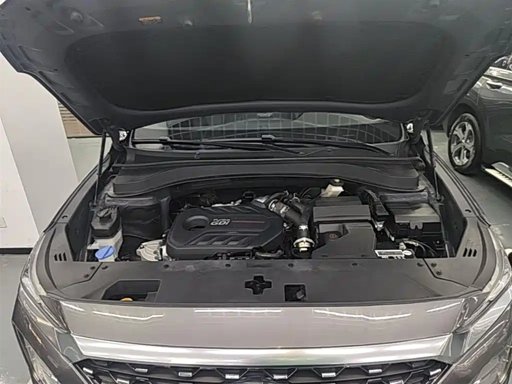 Hyundai Santa Fe 2019 380 TGDi TOP Auto 2WD Flagship Edition China VI фото 20