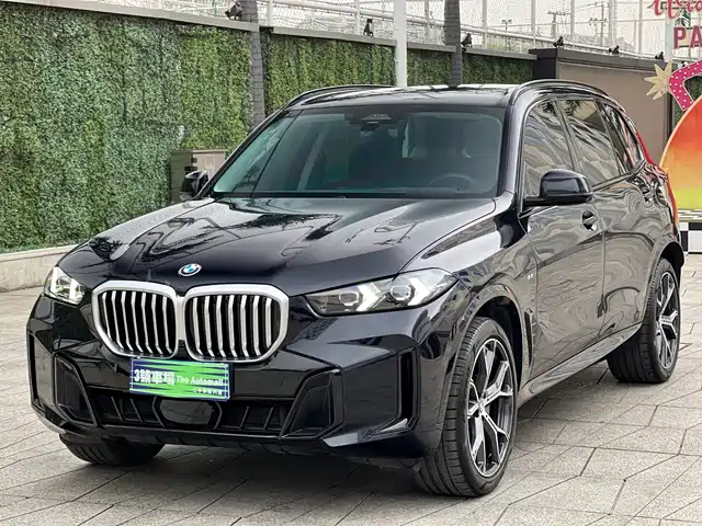 bmw x5