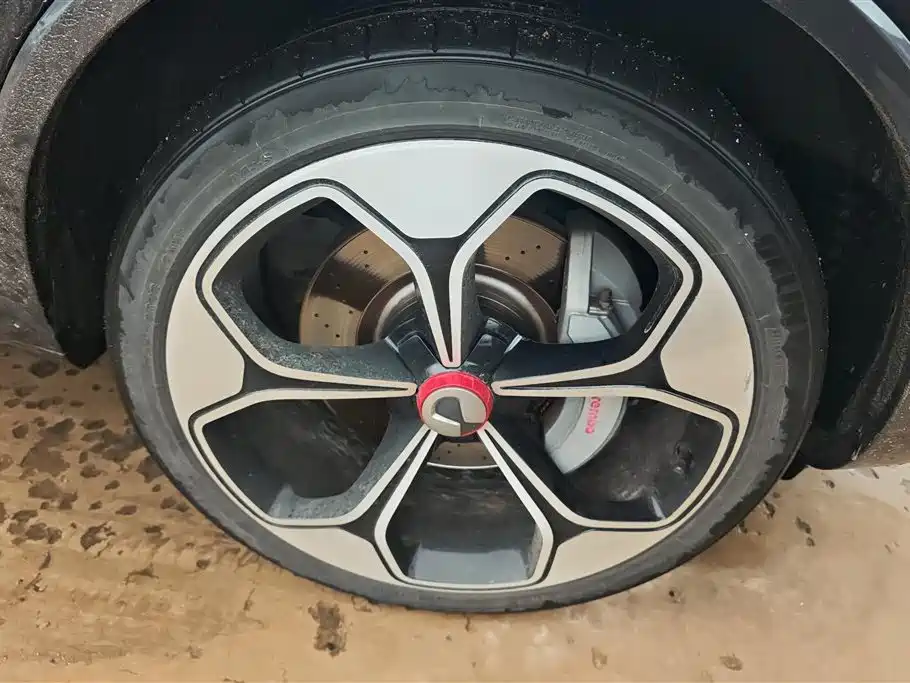 Denza X 2020 Model PHEV Flagship Edition фото 6