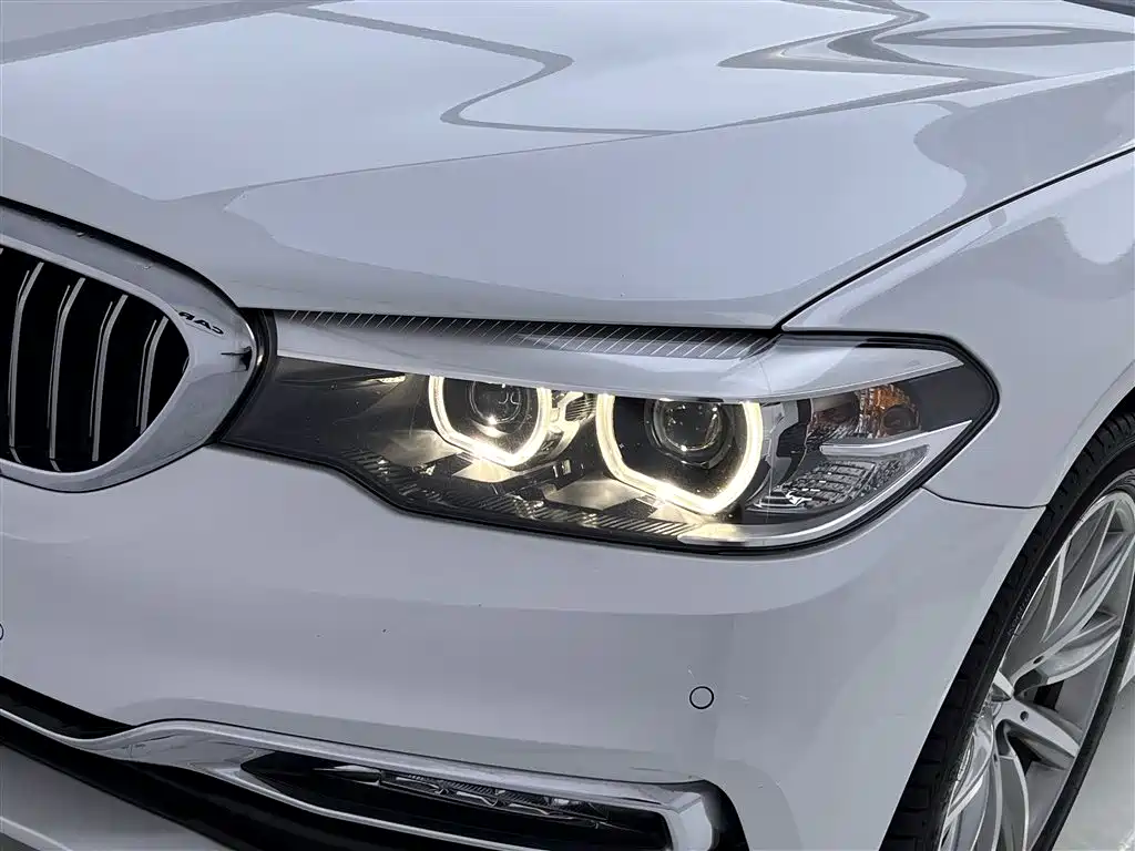 BMW 5 Series 2018 530Li Leading Luxury Package фото 9